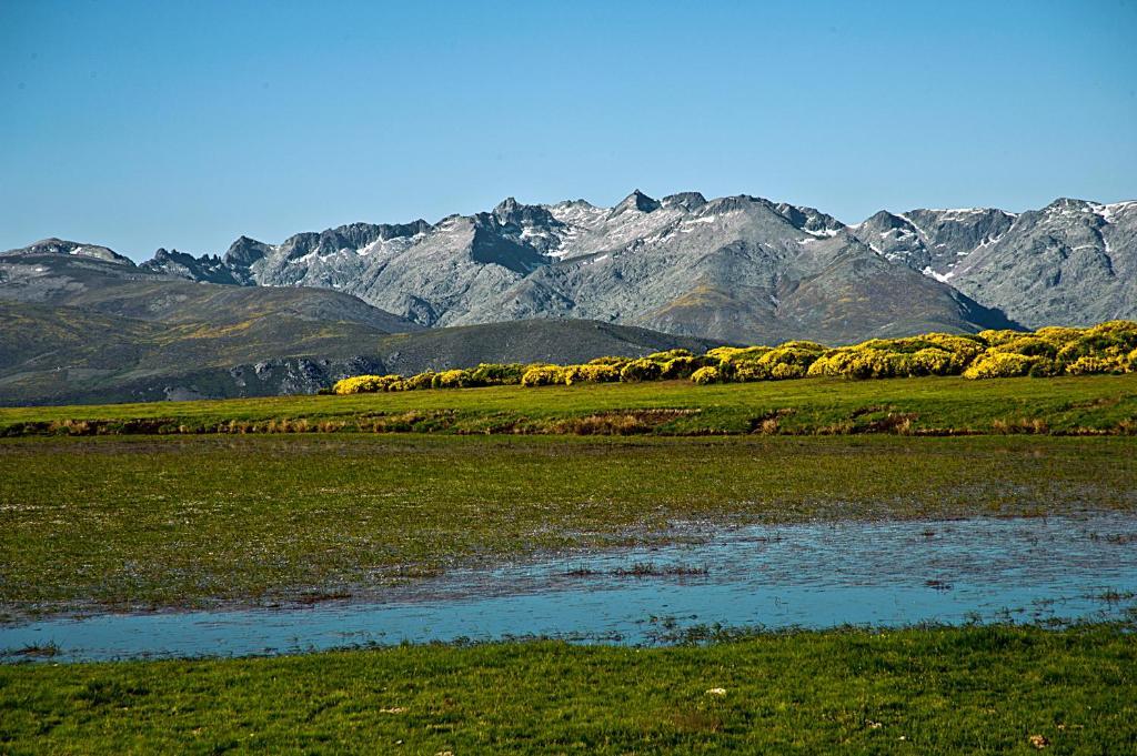 Hotel Rural La Dehesilla Barajas de Gredos Eksteriør billede