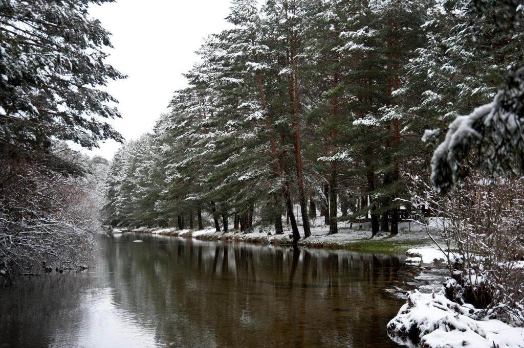 Hotel Rural La Dehesilla Barajas de Gredos Eksteriør billede